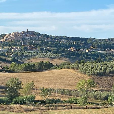 Podere Campo Alle Serpi Bibbona Exteriör bild