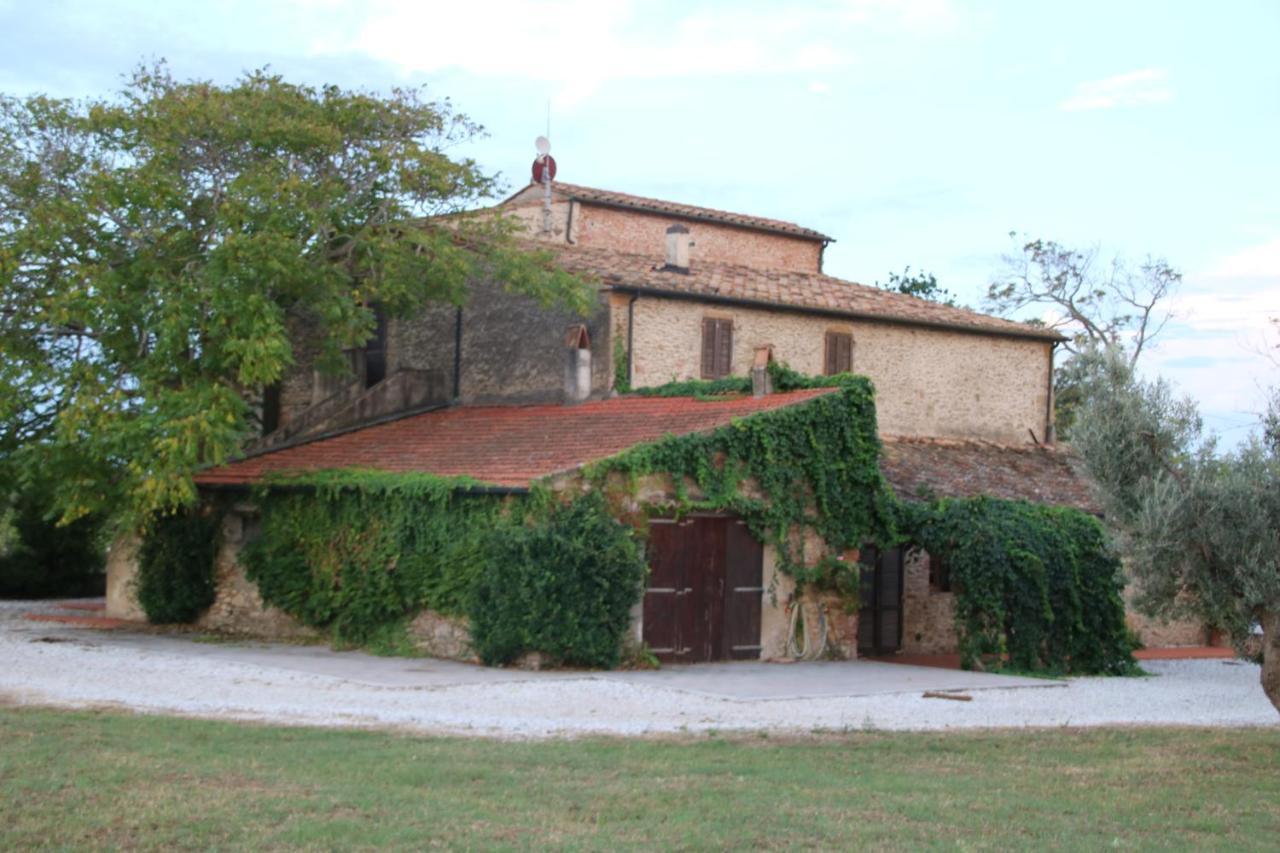 Podere Campo Alle Serpi Bibbona Exteriör bild