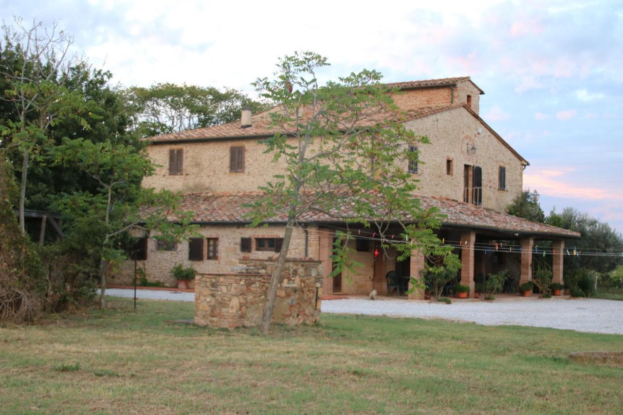 Podere Campo Alle Serpi Bibbona Exteriör bild