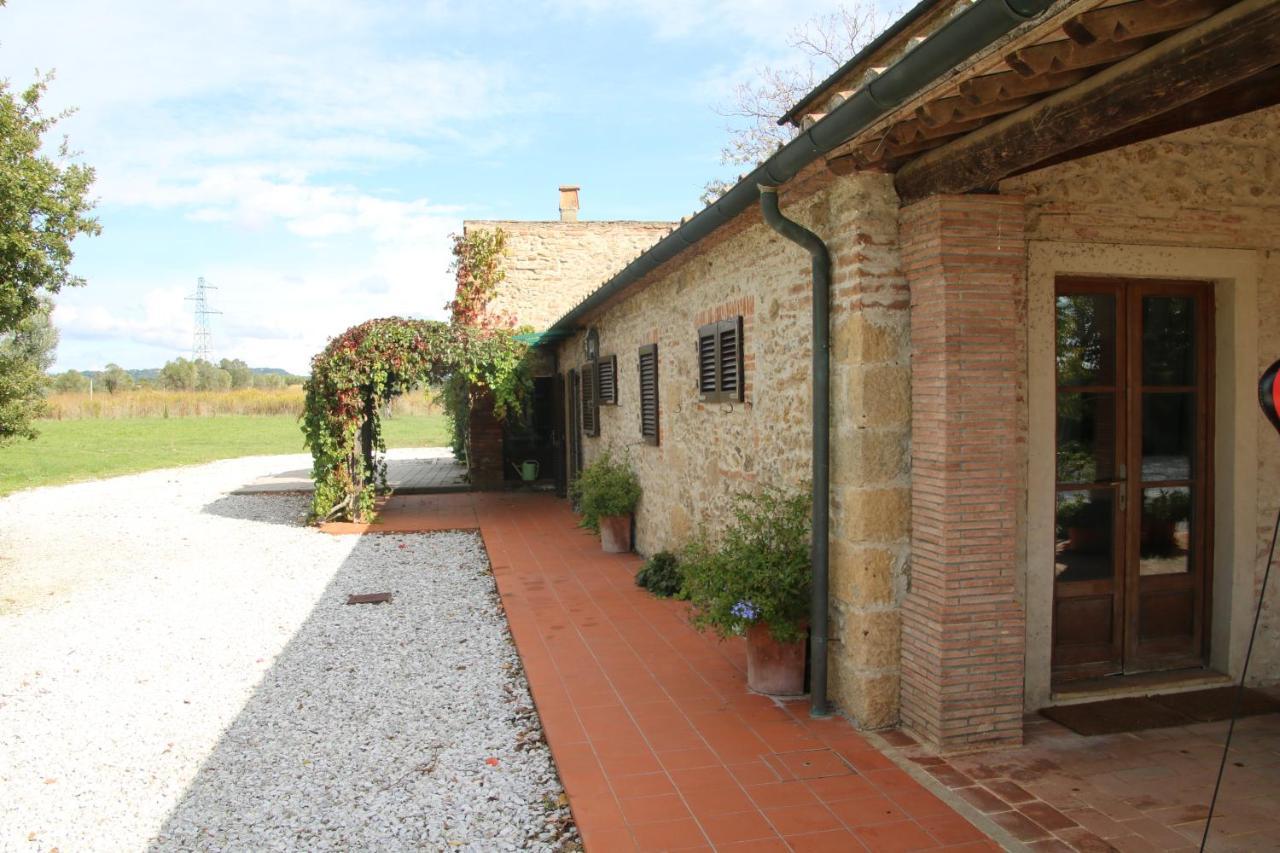 Podere Campo Alle Serpi Bibbona Exteriör bild