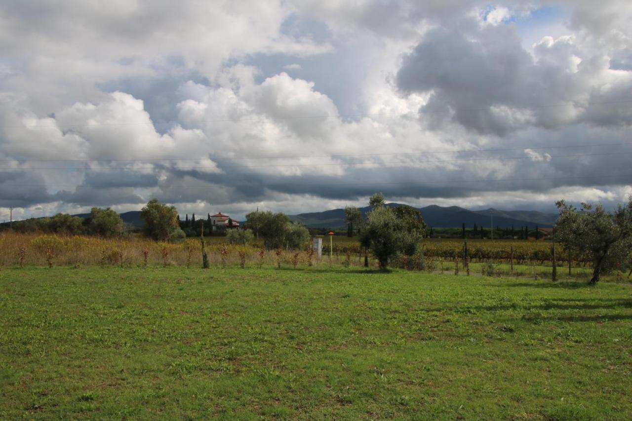 Podere Campo Alle Serpi Bibbona Exteriör bild