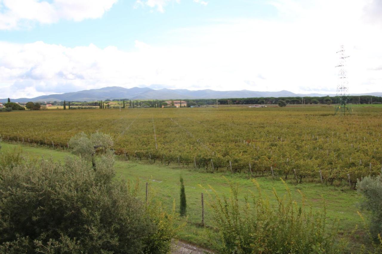 Podere Campo Alle Serpi Bibbona Exteriör bild