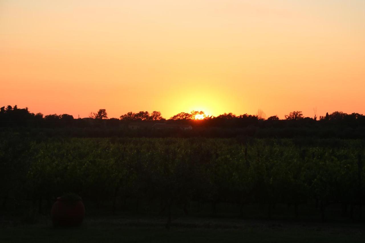 Podere Campo Alle Serpi Bibbona Exteriör bild