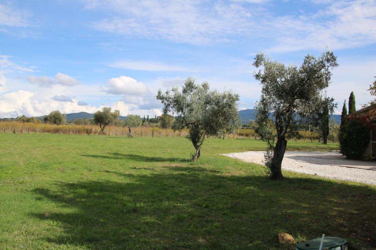Podere Campo Alle Serpi Bibbona Exteriör bild
