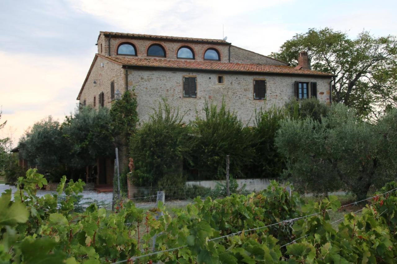Podere Campo Alle Serpi Bibbona Exteriör bild