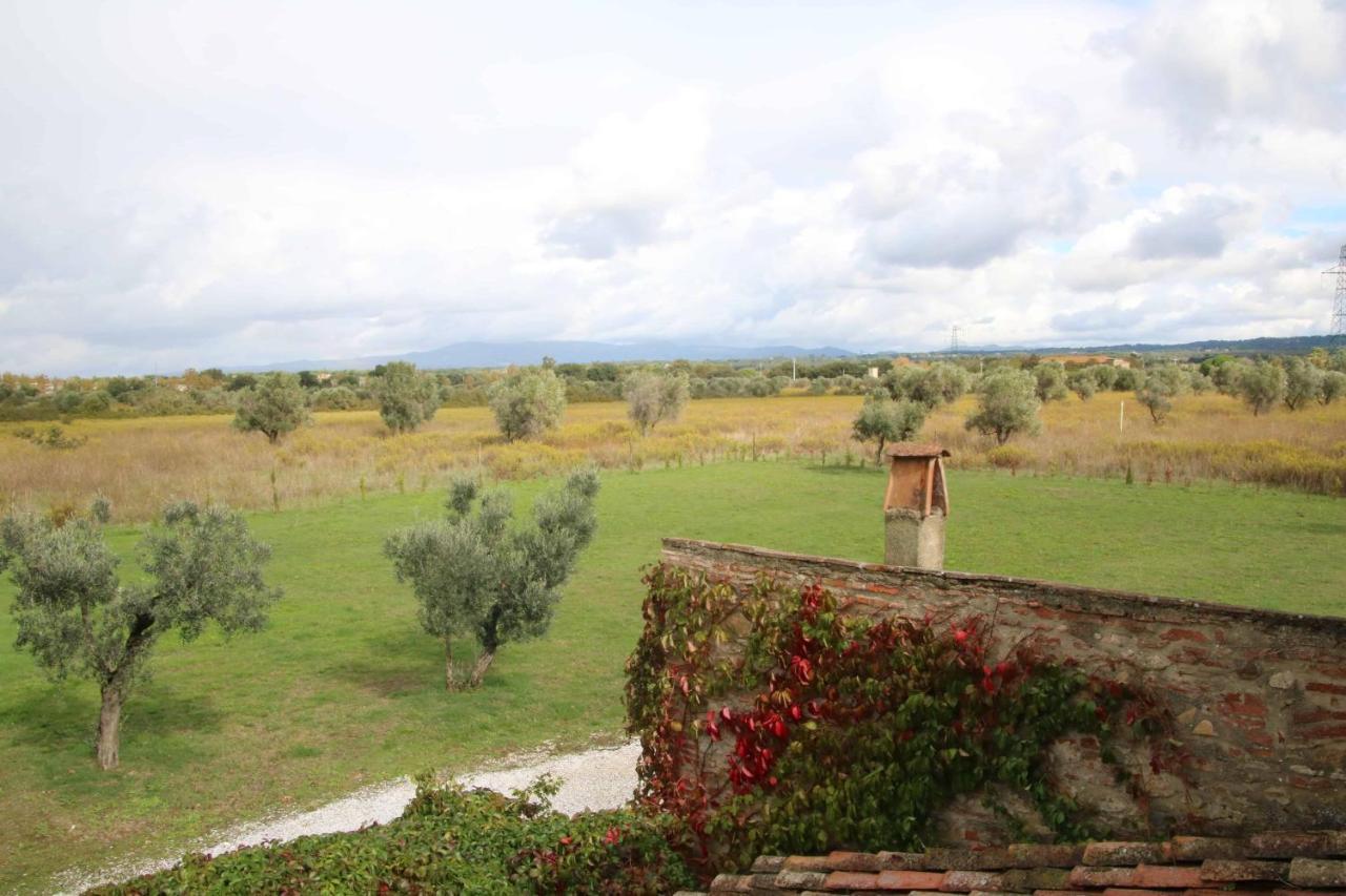 Podere Campo Alle Serpi Bibbona Exteriör bild