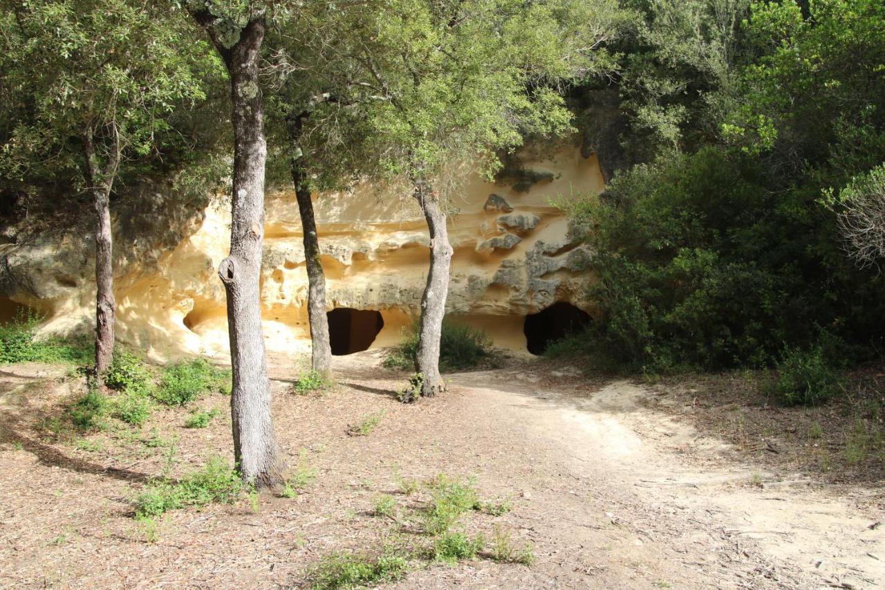 Podere Campo Alle Serpi Bibbona Exteriör bild