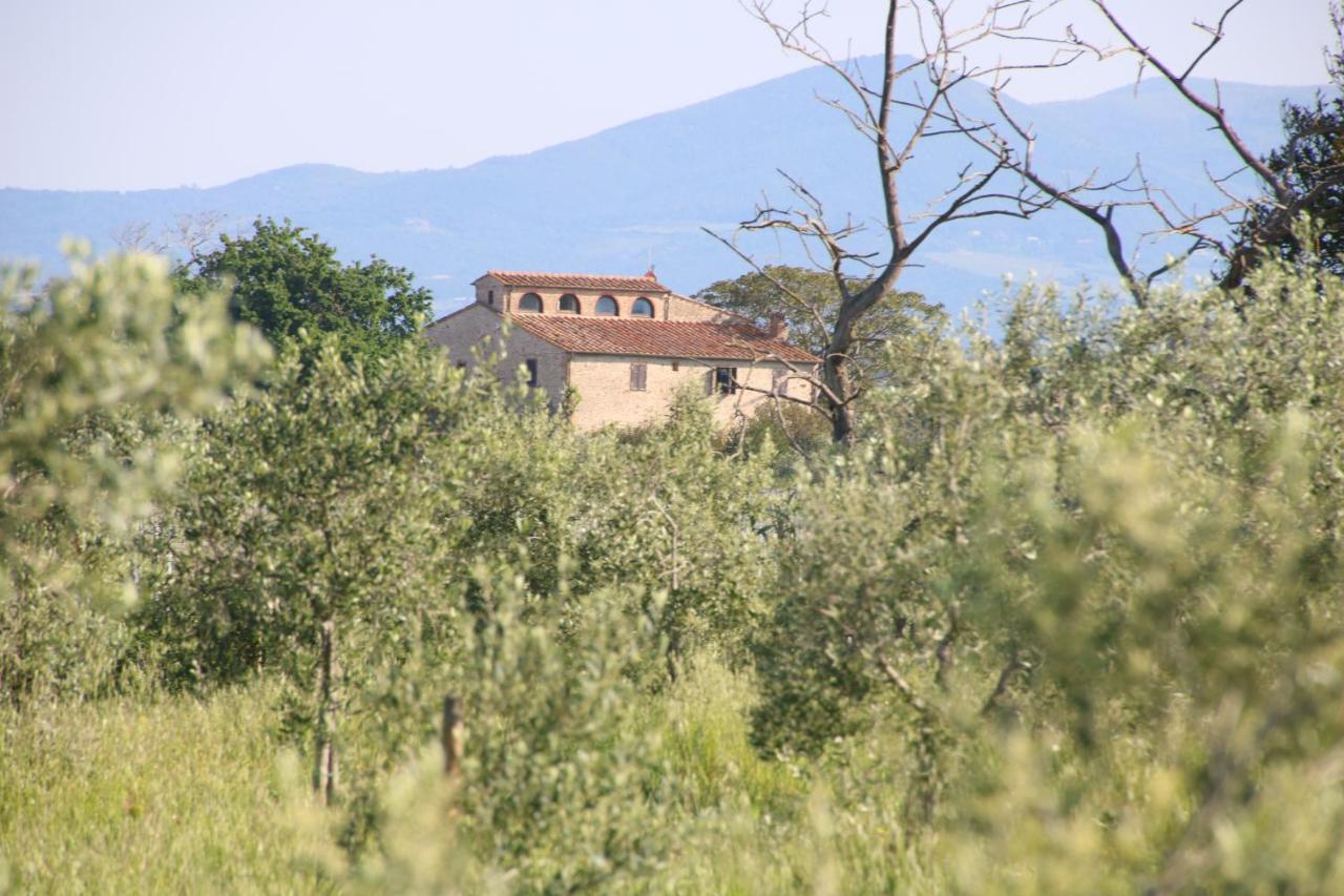 Podere Campo Alle Serpi Bibbona Exteriör bild