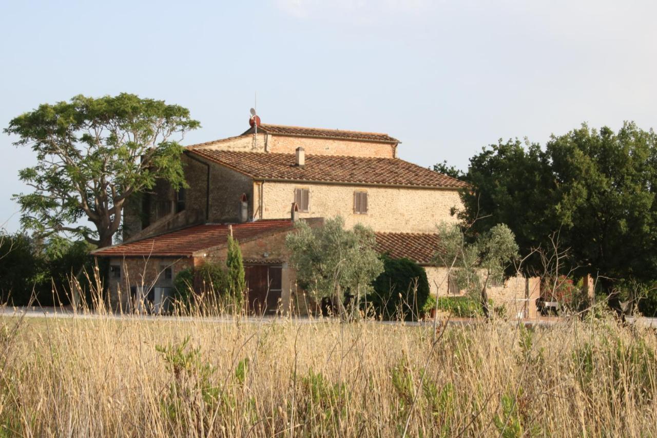 Podere Campo Alle Serpi Bibbona Exteriör bild