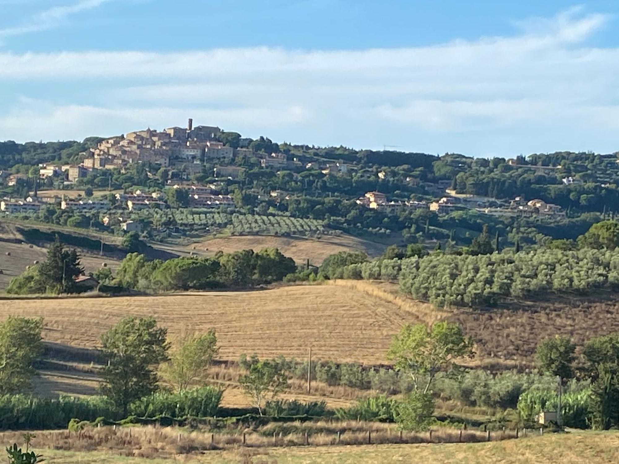 Podere Campo Alle Serpi Bibbona Exteriör bild