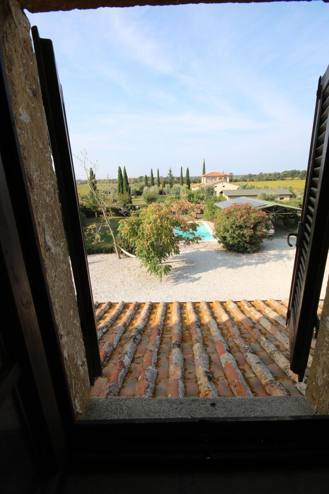 Podere Campo Alle Serpi Bibbona Exteriör bild