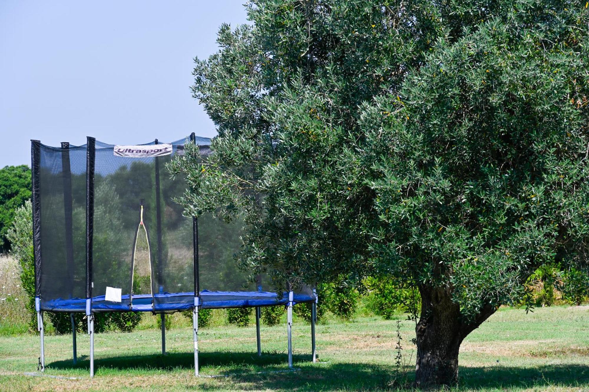 Podere Campo Alle Serpi Bibbona Exteriör bild
