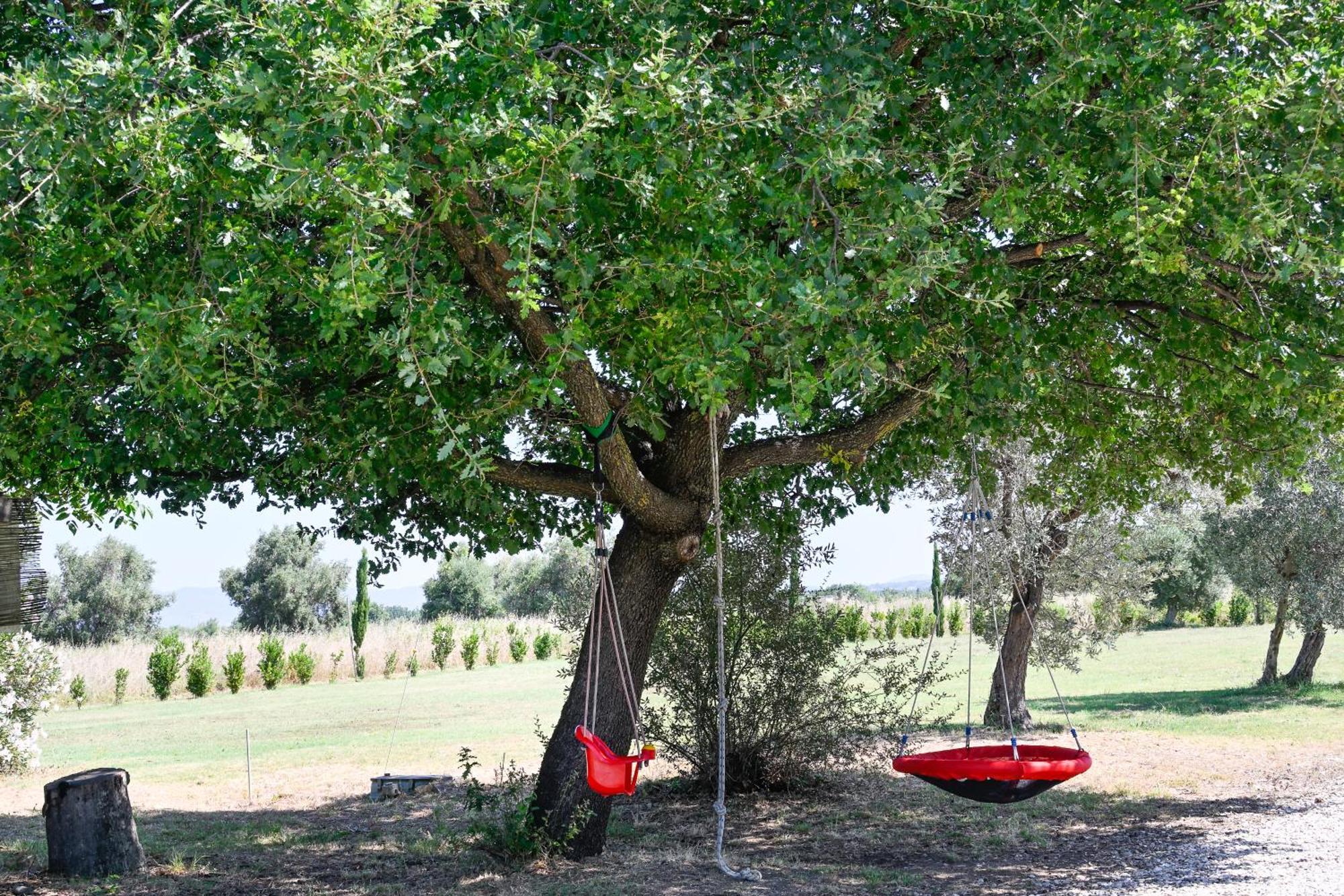 Podere Campo Alle Serpi Bibbona Exteriör bild